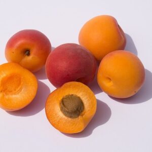 Albicocco Bella d’Imola