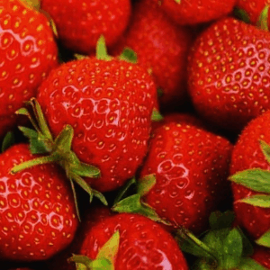 Fragola ‘Gorella’