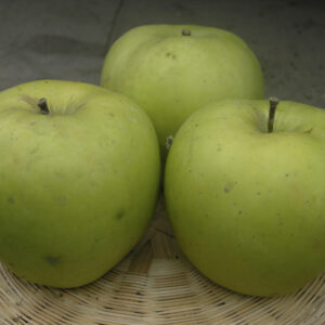 Melo Calvilla Bianca d’Inverno