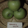 Melo Granny Smith