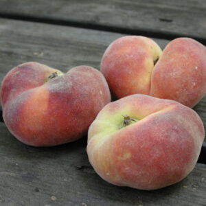 Pesco Piatto Platina