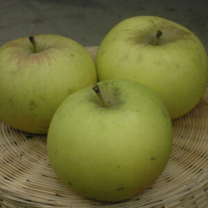 Melo Rosa di Caldaro