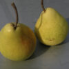 Pero Precoce di Trevoux